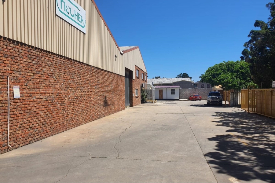 To Let commercial Property for Rent in Perseverance Industrial Eastern Cape